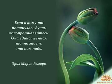 https://upforme.ru/uploads/0014/14/57/2048/t512712.jpg