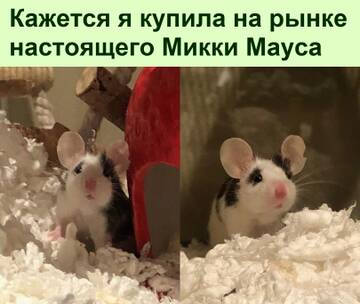 https://upforme.ru/uploads/0014/14/57/2048/t519125.jpg
