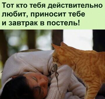 https://upforme.ru/uploads/0014/14/57/2048/t521259.jpg