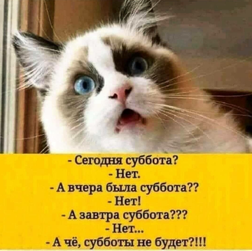 https://upforme.ru/uploads/0014/14/57/2048/t537974.png