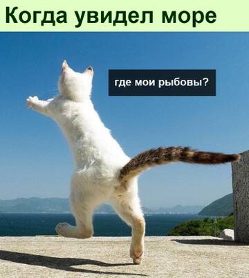 https://upforme.ru/uploads/0014/14/57/2048/t54189.jpg