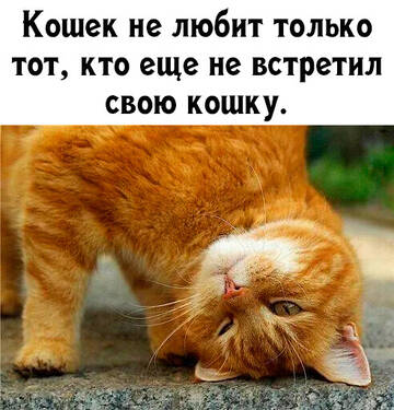 https://upforme.ru/uploads/0014/14/57/2048/t545302.jpg