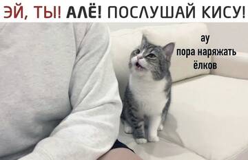 https://upforme.ru/uploads/0014/14/57/2048/t548824.jpg