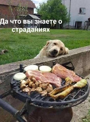 https://upforme.ru/uploads/0014/14/57/2048/t560619.png