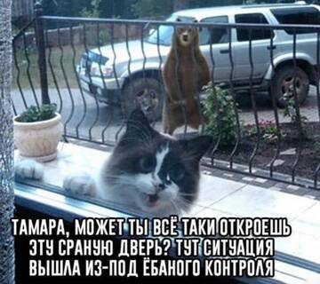 https://upforme.ru/uploads/0014/14/57/2048/t583379.jpg