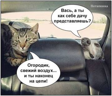 https://upforme.ru/uploads/0014/14/57/2048/t587170.jpg