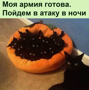 https://upforme.ru/uploads/0014/14/57/2048/t593666.jpg
