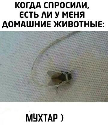 https://upforme.ru/uploads/0014/14/57/2048/t606824.jpg