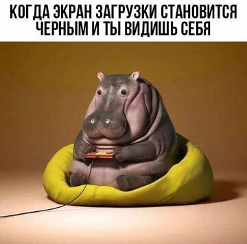 https://upforme.ru/uploads/0014/14/57/2048/t616534.jpg