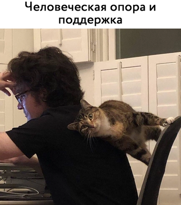 https://upforme.ru/uploads/0014/14/57/2048/t640601.png