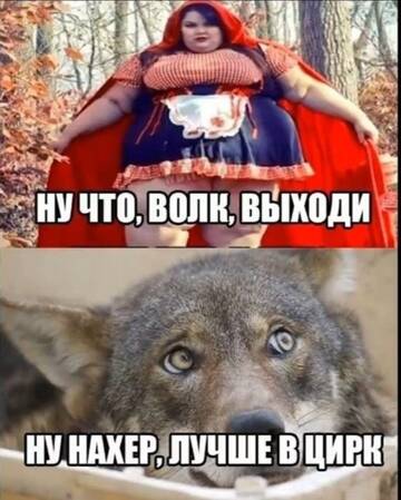 https://upforme.ru/uploads/0014/14/57/2048/t643515.jpg