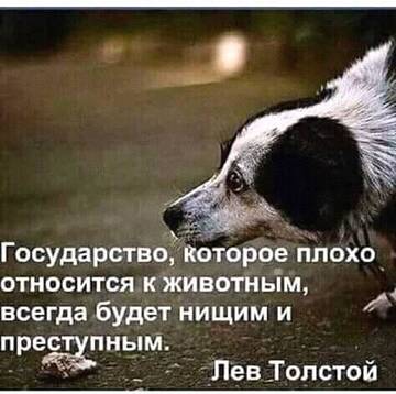 https://upforme.ru/uploads/0014/14/57/2048/t649269.jpg