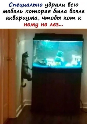 https://upforme.ru/uploads/0014/14/57/2048/t65199.png