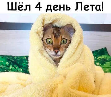 https://upforme.ru/uploads/0014/14/57/2048/t656164.jpg