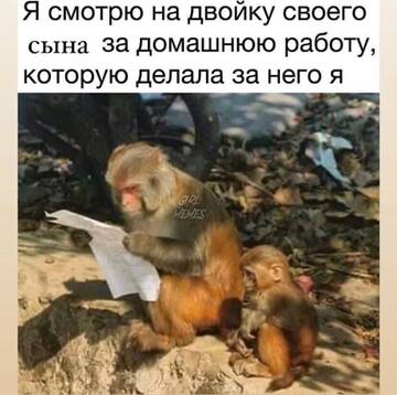https://upforme.ru/uploads/0014/14/57/2048/t656479.jpg