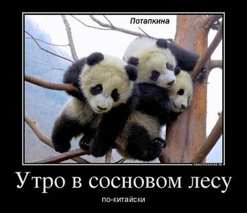 https://upforme.ru/uploads/0014/14/57/2048/t658352.jpg