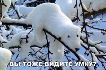 https://upforme.ru/uploads/0014/14/57/2048/t659342.jpg