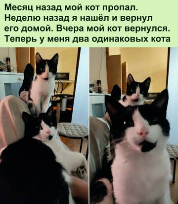 https://upforme.ru/uploads/0014/14/57/2048/t665680.jpg