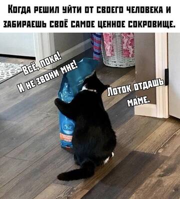 https://upforme.ru/uploads/0014/14/57/2048/t666212.jpg