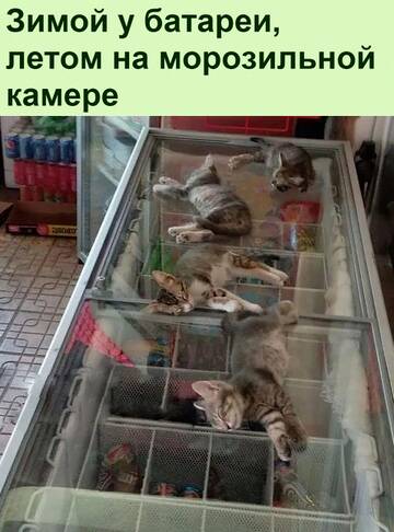 https://upforme.ru/uploads/0014/14/57/2048/t669242.jpg