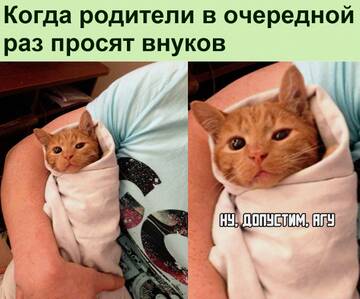 https://upforme.ru/uploads/0014/14/57/2048/t672897.jpg