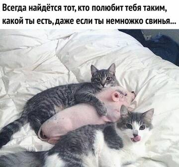 https://upforme.ru/uploads/0014/14/57/2048/t711933.jpg