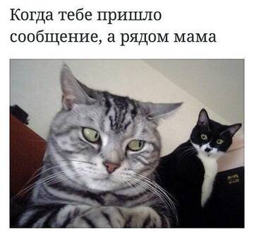 https://upforme.ru/uploads/0014/14/57/2048/t722875.jpg