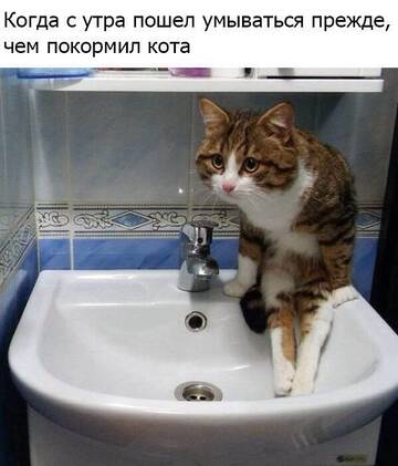 https://upforme.ru/uploads/0014/14/57/2048/t726564.jpg