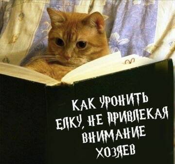 https://upforme.ru/uploads/0014/14/57/2048/t74181.jpg