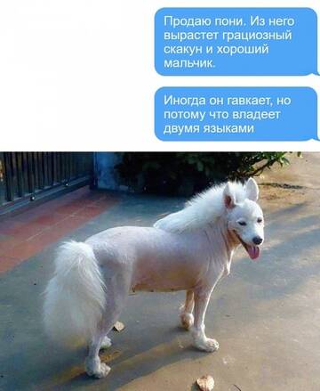 https://upforme.ru/uploads/0014/14/57/2048/t74584.jpg