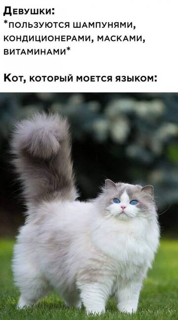 https://upforme.ru/uploads/0014/14/57/2048/t74935.jpg