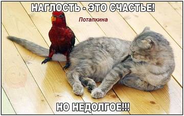 https://upforme.ru/uploads/0014/14/57/2048/t784420.jpg