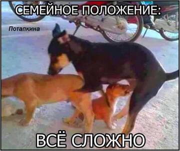 https://upforme.ru/uploads/0014/14/57/2048/t800049.jpg