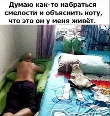 https://upforme.ru/uploads/0014/14/57/2048/t852811.jpg