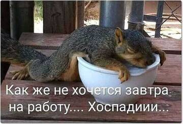 https://upforme.ru/uploads/0014/14/57/2048/t885243.jpg