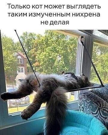 https://upforme.ru/uploads/0014/14/57/2048/t887383.jpg