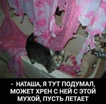 https://upforme.ru/uploads/0014/14/57/2048/t888802.jpg
