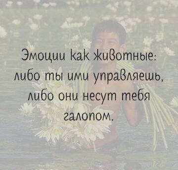 https://upforme.ru/uploads/0014/14/57/2048/t91573.jpg