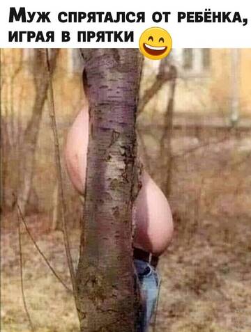 https://upforme.ru/uploads/0014/14/57/2048/t931814.jpg