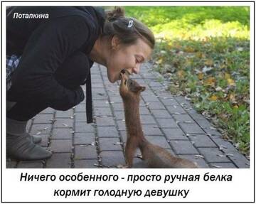 https://upforme.ru/uploads/0014/14/57/2048/t938677.jpg