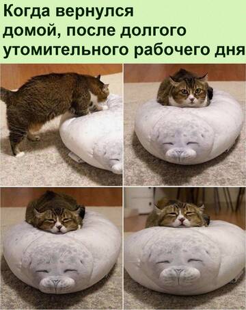 https://upforme.ru/uploads/0014/14/57/2048/t939762.jpg