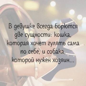 https://upforme.ru/uploads/0014/14/57/2048/t954084.jpg