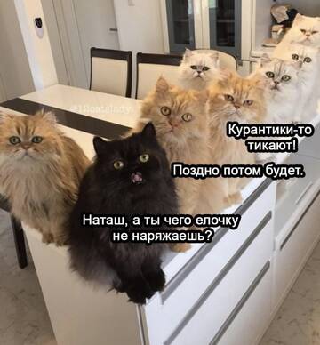 https://upforme.ru/uploads/0014/14/57/2048/t960015.jpg