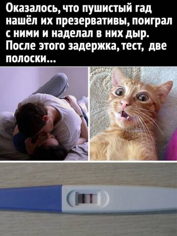 https://upforme.ru/uploads/0014/14/57/2048/t999636.jpg