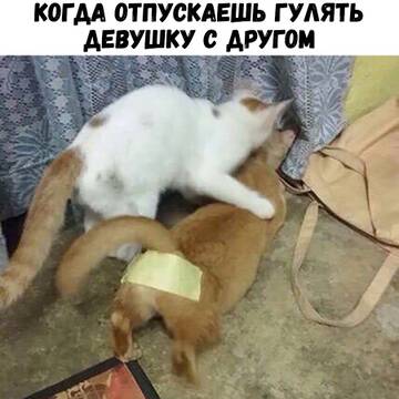 https://upforme.ru/uploads/0014/1d/02/150/t857248.jpg