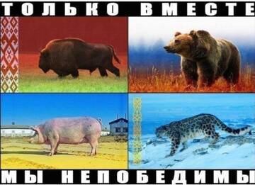 https://upforme.ru/uploads/0014/1d/02/165/t117099.jpg