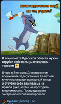 https://upforme.ru/uploads/0014/1d/02/165/t223260.png