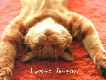 https://upforme.ru/uploads/0014/1d/02/165/t248657.jpg