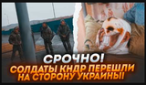 https://upforme.ru/uploads/0014/1d/02/165/t416217.png