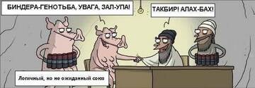 https://upforme.ru/uploads/0014/1d/02/165/t587933.jpg